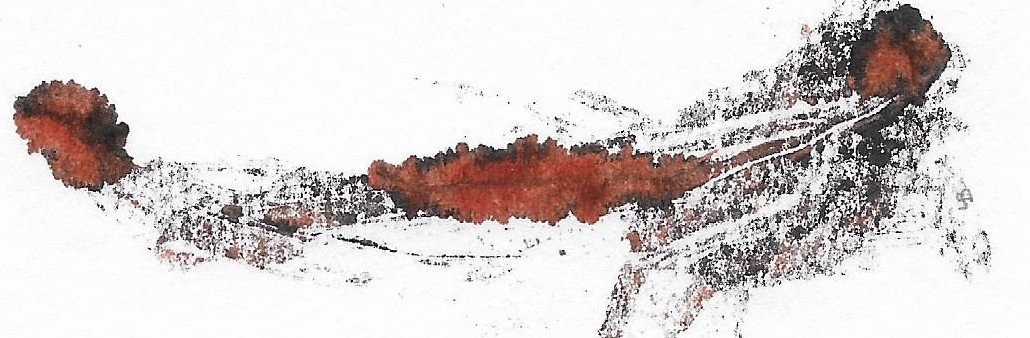 Illustration : monotype de Lucie Billiotte